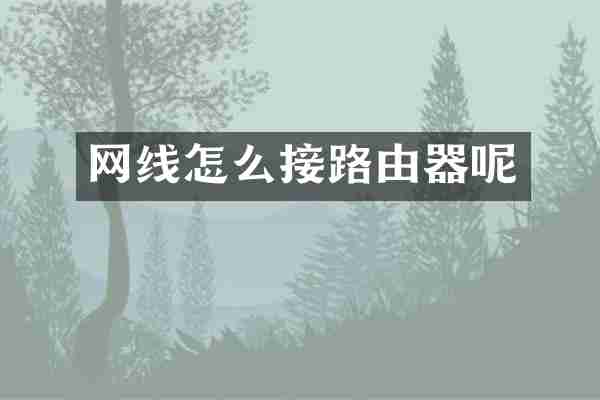 网线怎么接路由器呢