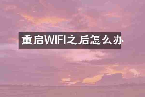 重启WIFI之后怎么办