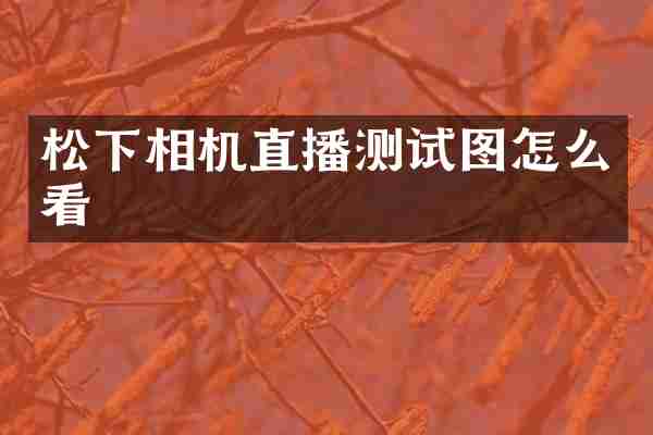 松下相机直播测试图怎么看
