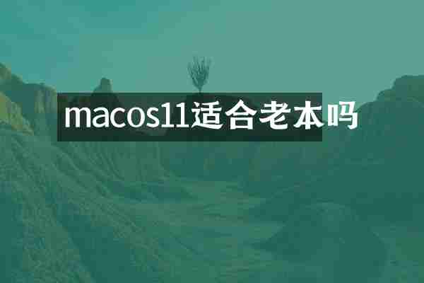 macos11适合老本吗
