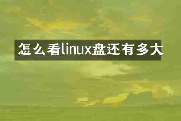 怎么看linux盘还有多大