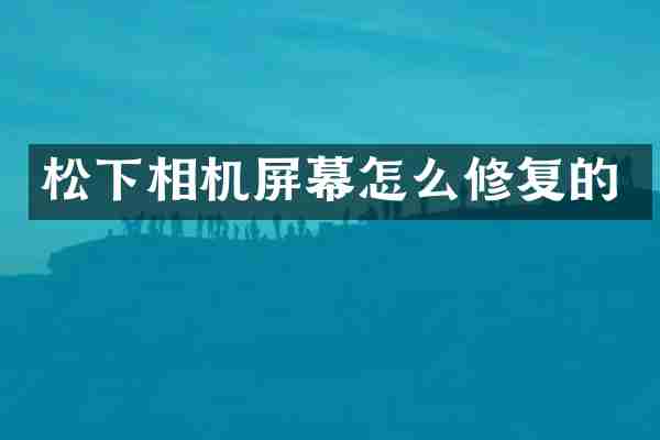 松下相机屏幕怎么修复的