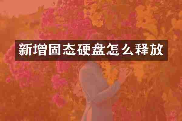 新增固态硬盘怎么释放