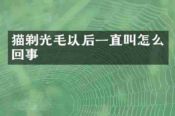 猫剃光毛以后一直叫怎么回事