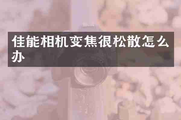 佳能相机变焦很松散怎么办