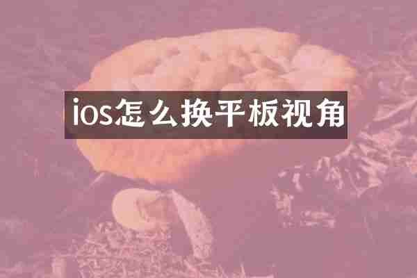 ios怎么换平板视角