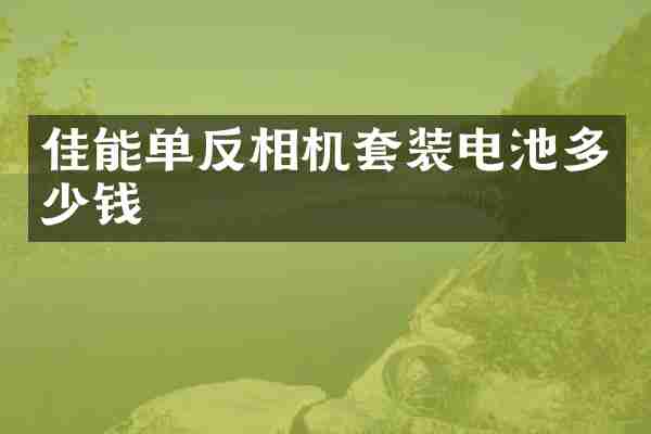 佳能单反相机套装电池多少钱