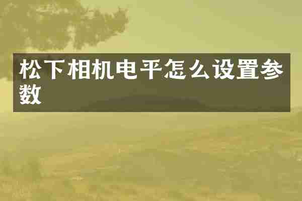 松下相机电平怎么设置参数