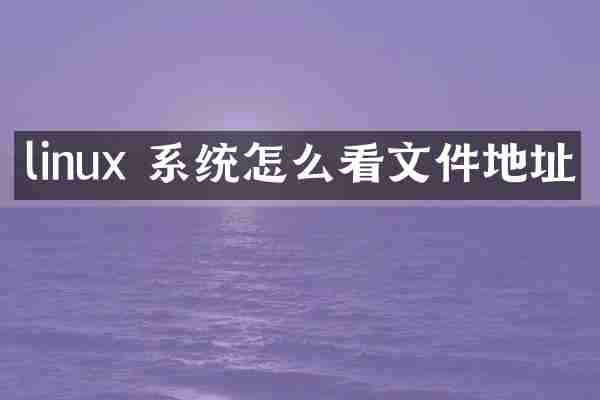 linux 系统怎么看文件地址