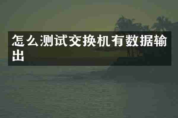 怎么测试交换机有数据输出