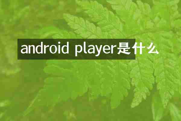 android player是什么