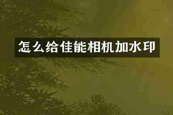 怎么给佳能相机加水印