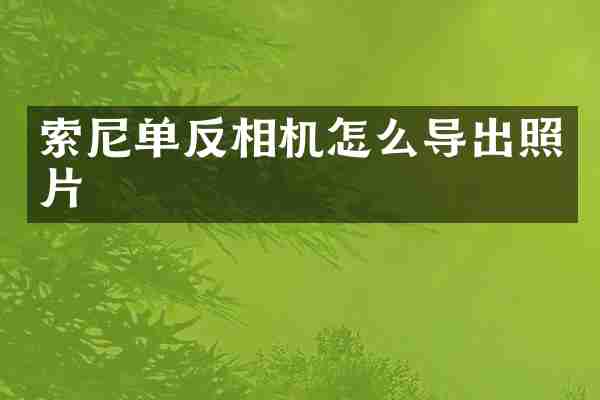 索尼单反相机怎么导出照片