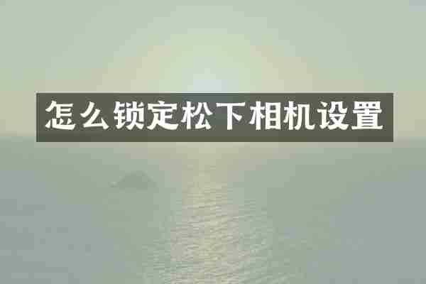 怎么锁定相机设置