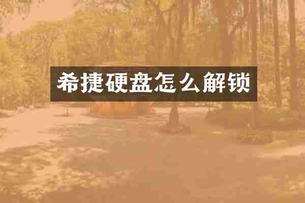 希捷硬盘怎么解锁