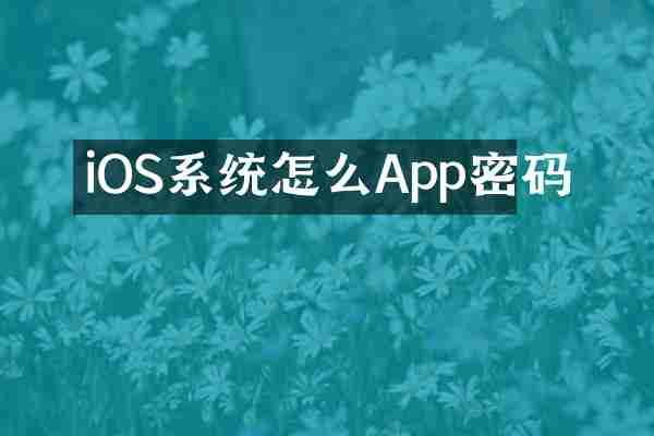 iOS系统怎么App密码