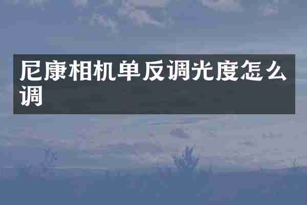 尼康相机单反调光度怎么调