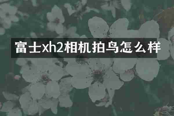 富士xh2相机拍鸟怎么样