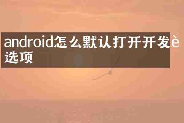 android怎么默认打开开发者选项