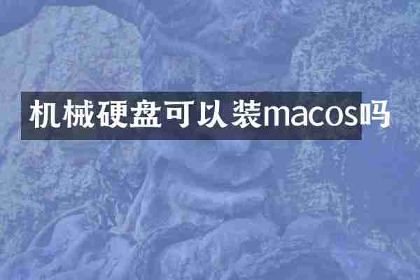 机械硬盘可以装macos吗