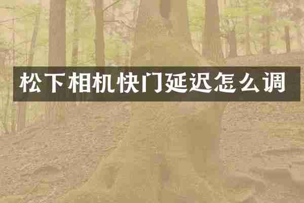 松下相机快门延迟怎么调