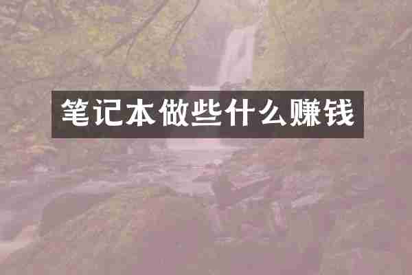笔记本做些什么赚钱