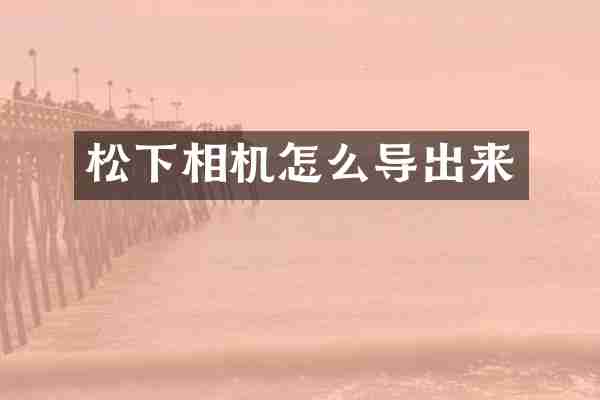 松下相机怎么导出来