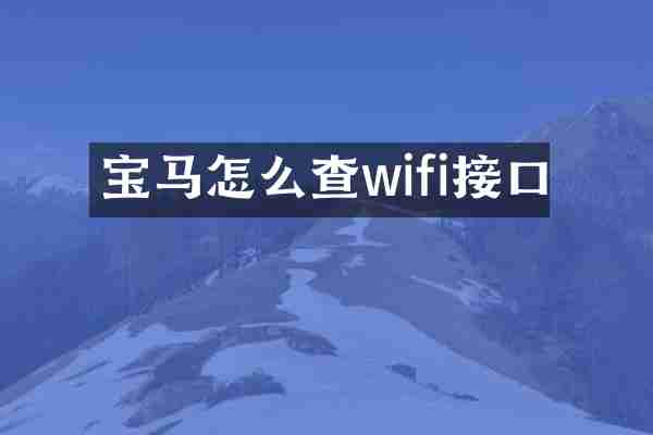 宝马怎么查wifi接口