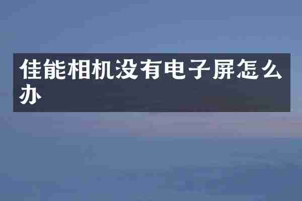 佳能相机没有电子屏怎么办