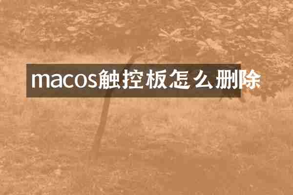 macos触控板怎么删除