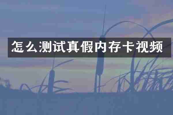 怎么测试真假内存卡视频