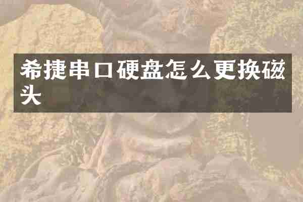 希捷串口硬盘怎么更换磁头