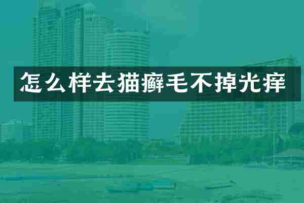 怎么样去猫癣毛不掉光痒