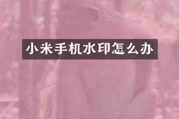 小米手机水印怎么办