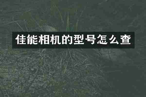佳能相机的型号怎么查