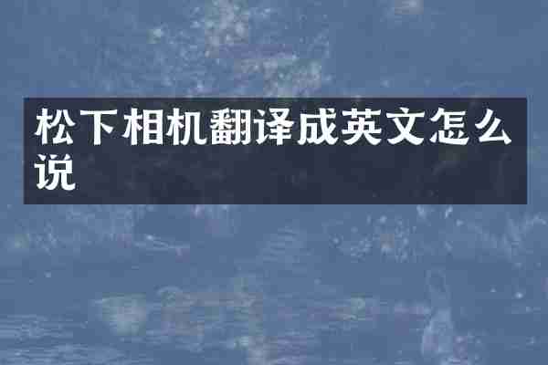 松下相机翻译成英文怎么说