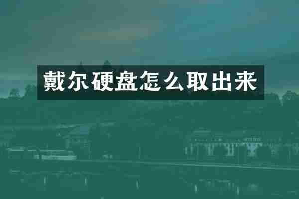 戴尔硬盘怎么取出来