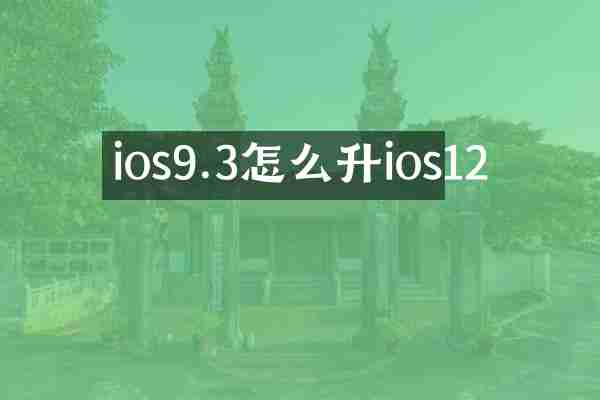 ios9.3怎么升ios12