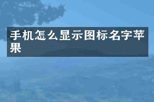 手机怎么显示图标名字苹果