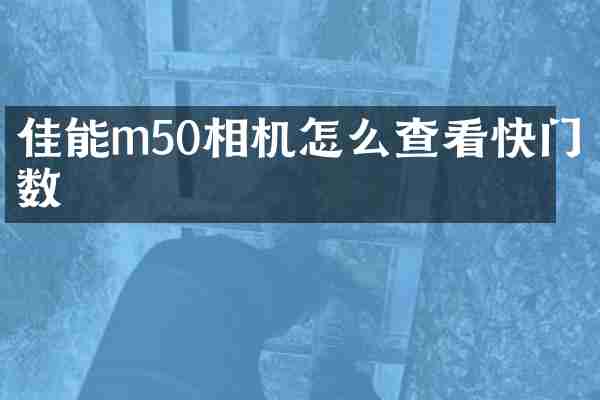 佳能m50相机怎么查看快门数