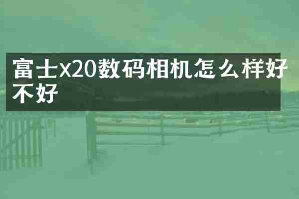 富士x20数码相机怎么样好不好