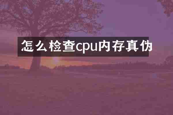 怎么检查cpu内存真伪