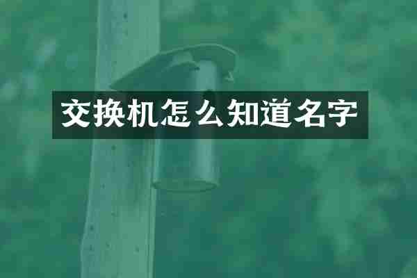 交换机怎么知道名字