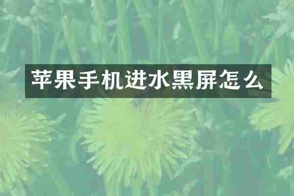 苹果手机进水黑屏怎么