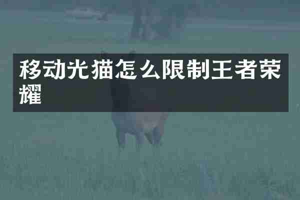 移动光猫怎么限制王者荣耀