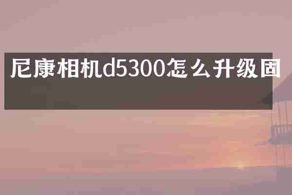 尼康相机d5300怎么升级固件