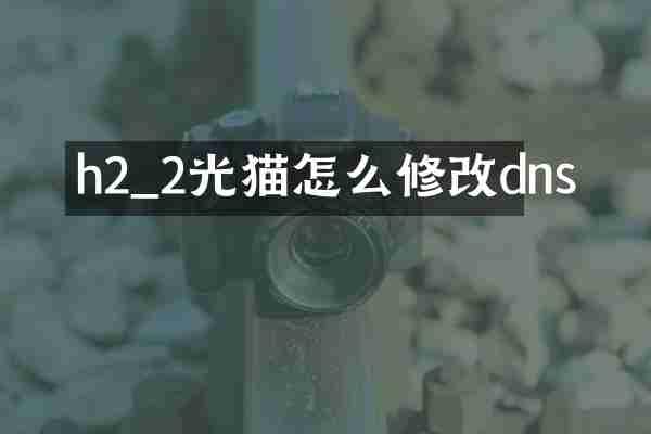 h2_2光猫怎么修改dns