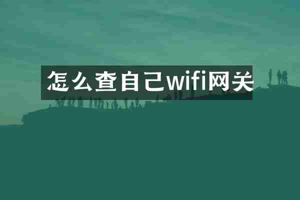 怎么查自己wifi网关