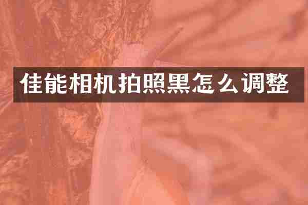 佳能相机拍照黑怎么调整