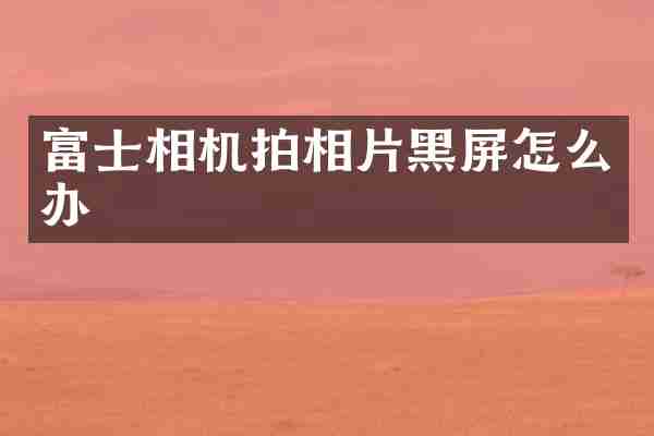 富士相机拍相片黑屏怎么办